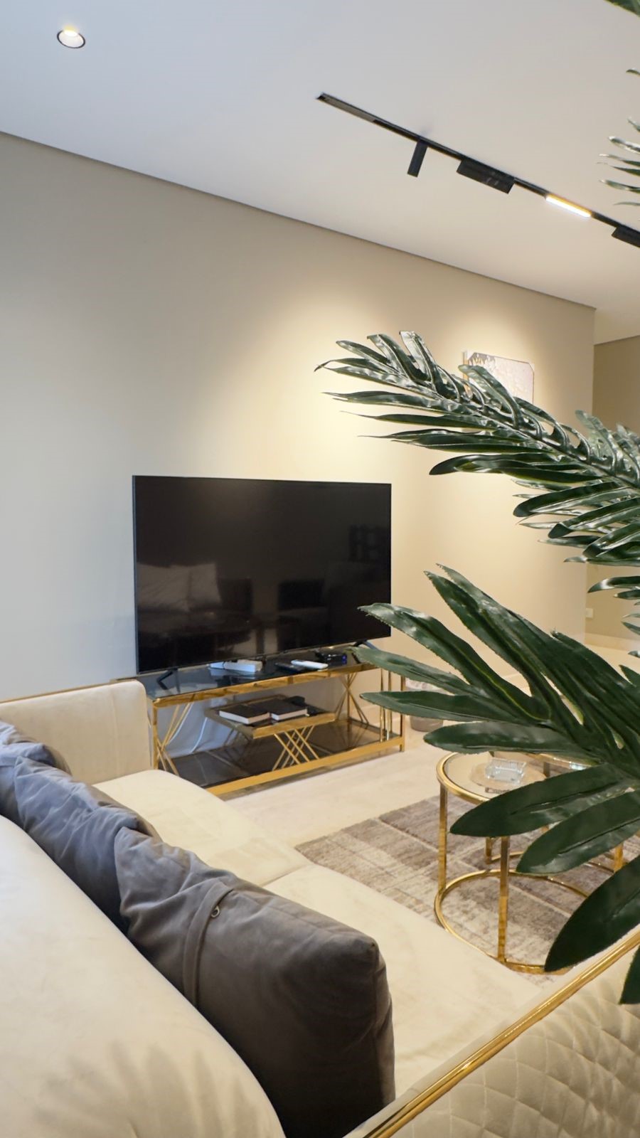 صورة العقار