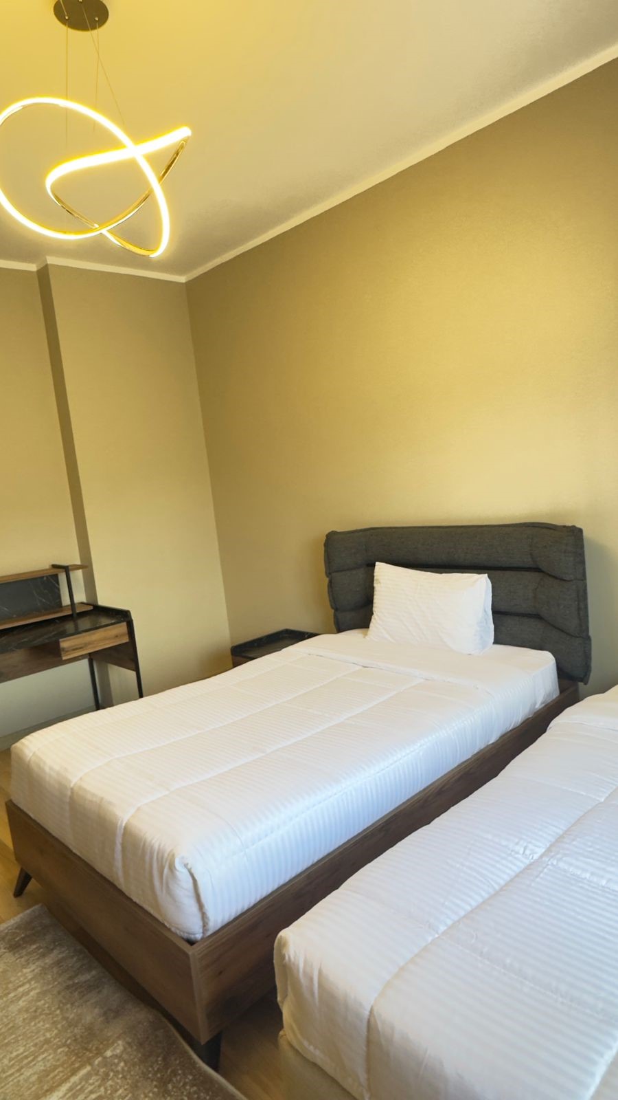 صورة العقار