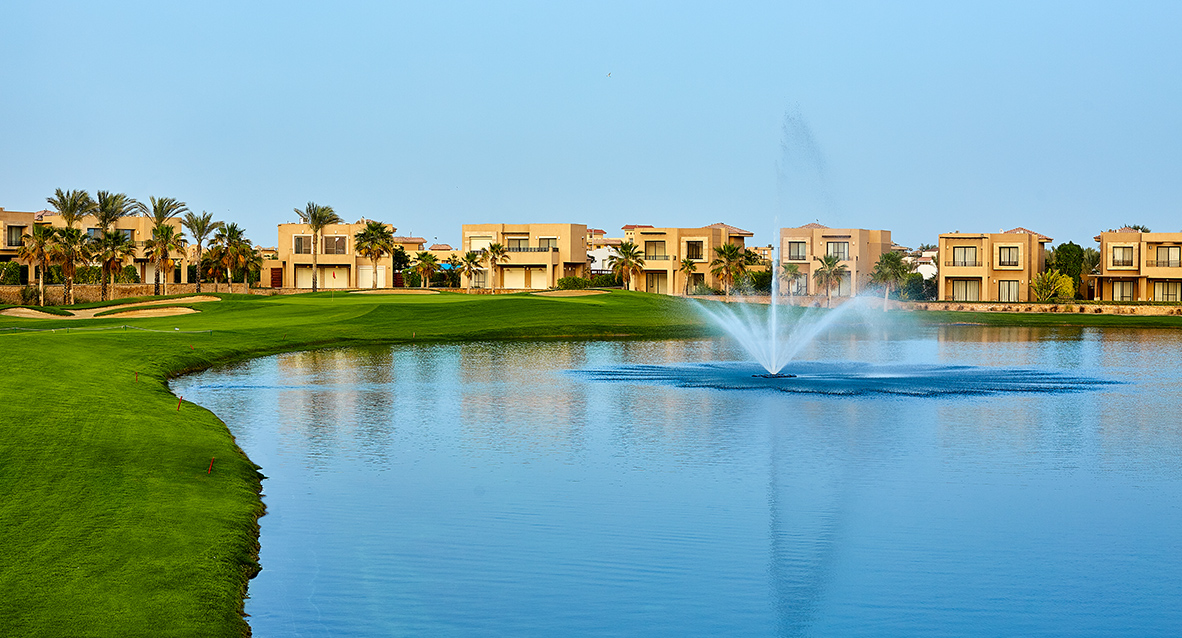 صورة العقار