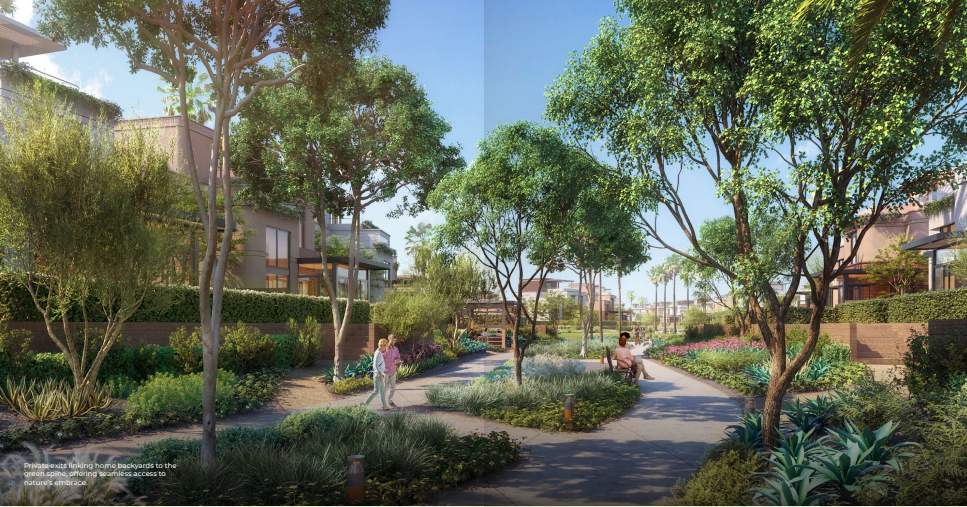 صورة العقار