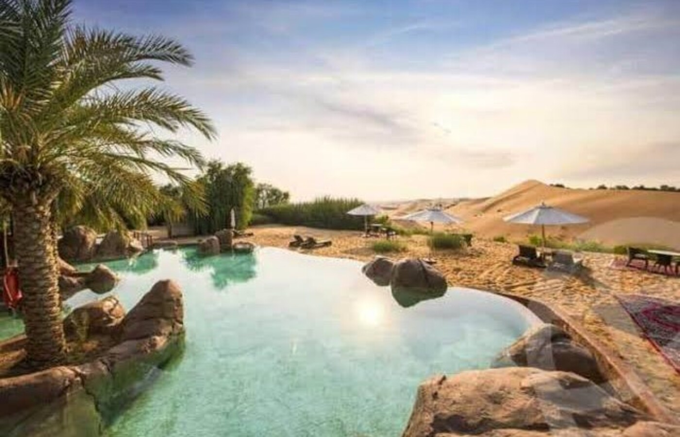 صورة العقار