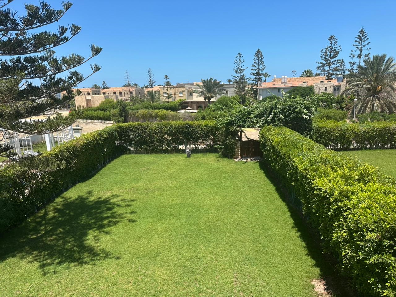 صورة العقار