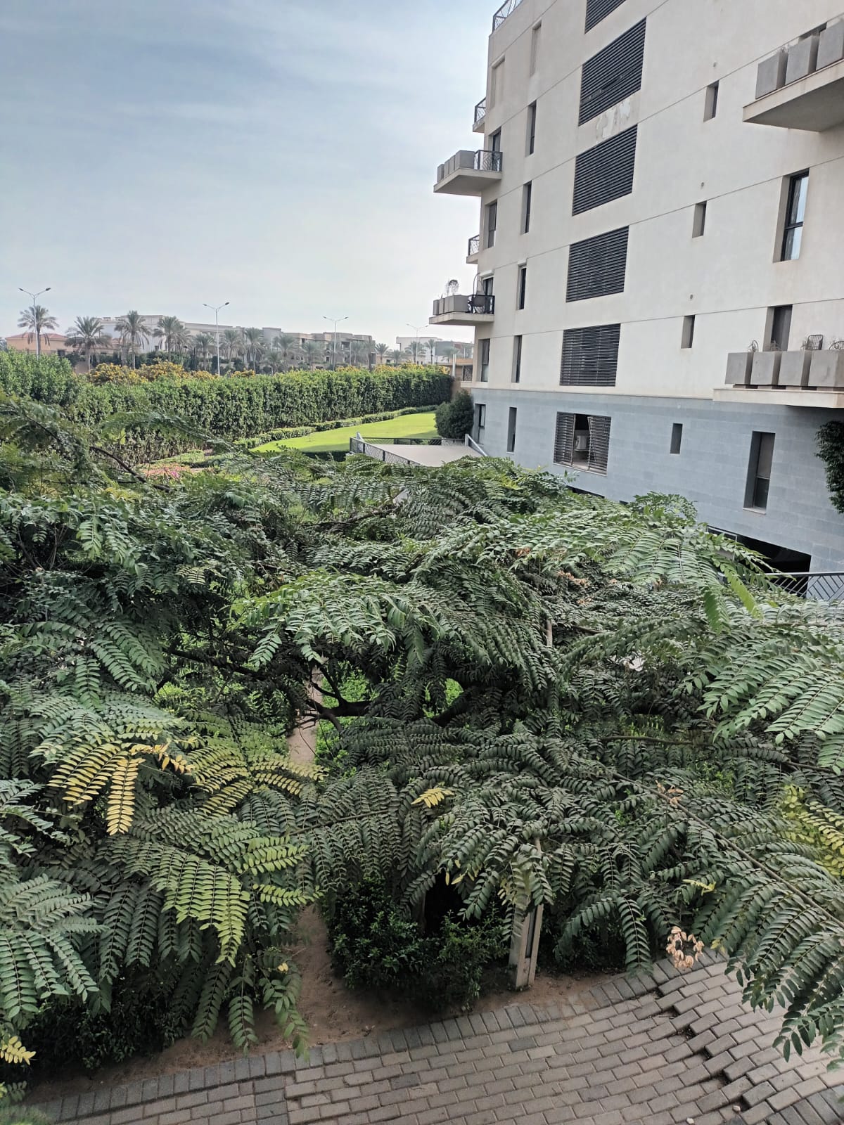 صورة العقار