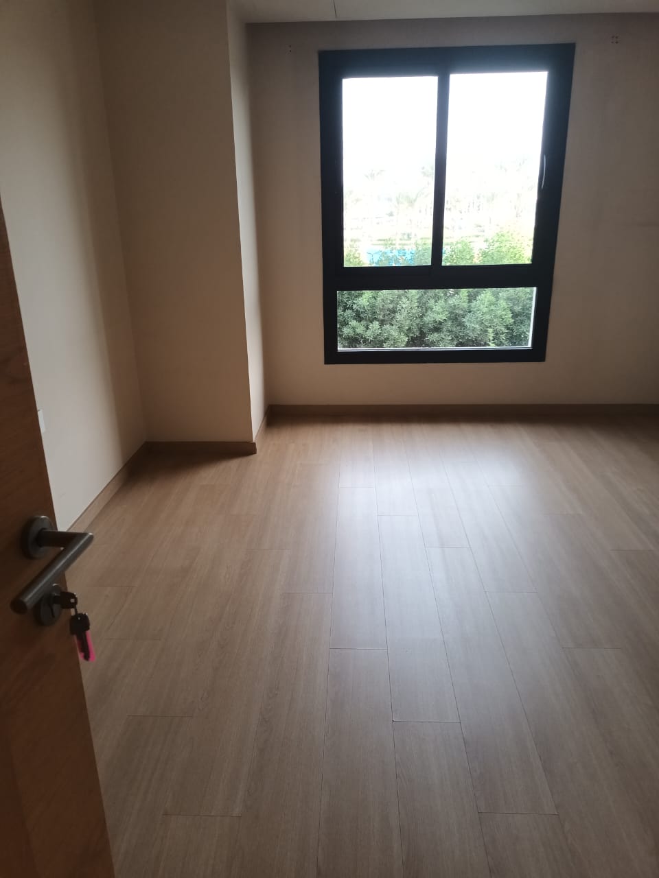 صورة العقار