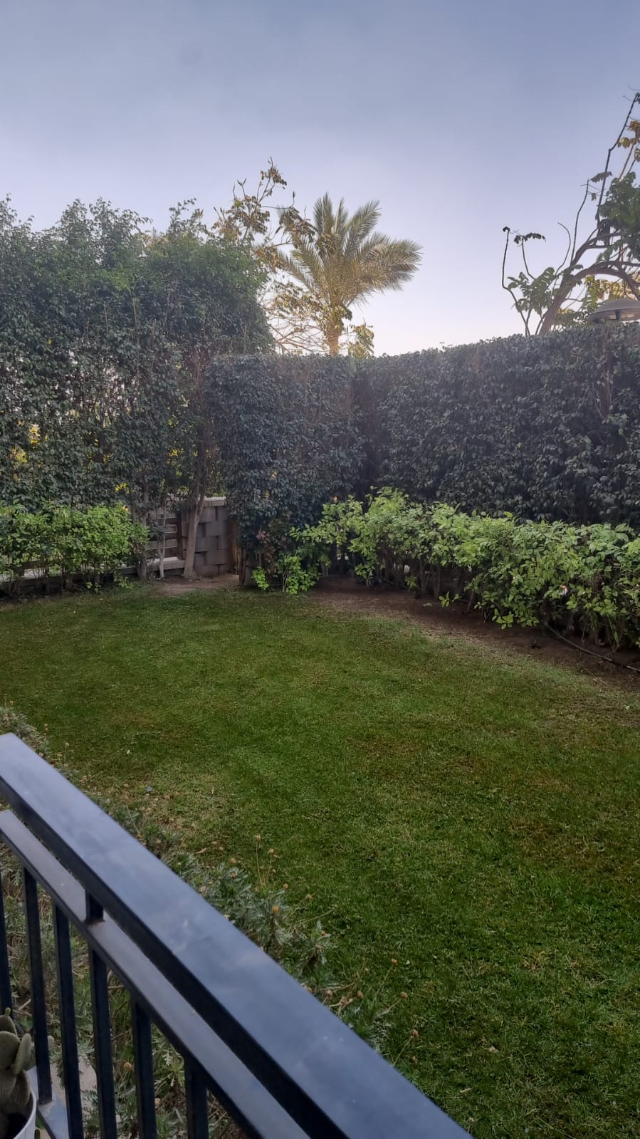 Apartment for rent in cfc Semi fiurnished ground floor + Garden