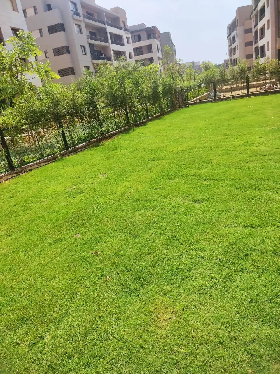 Fully Finished Apartment For Sale In District 5