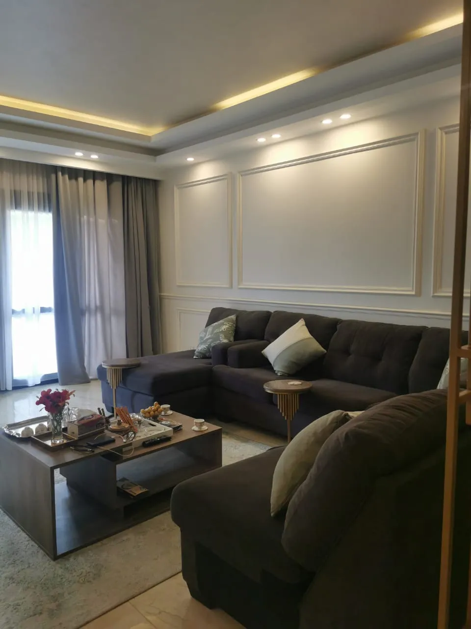 Modern Furnished Apartment For Rent in Eastown