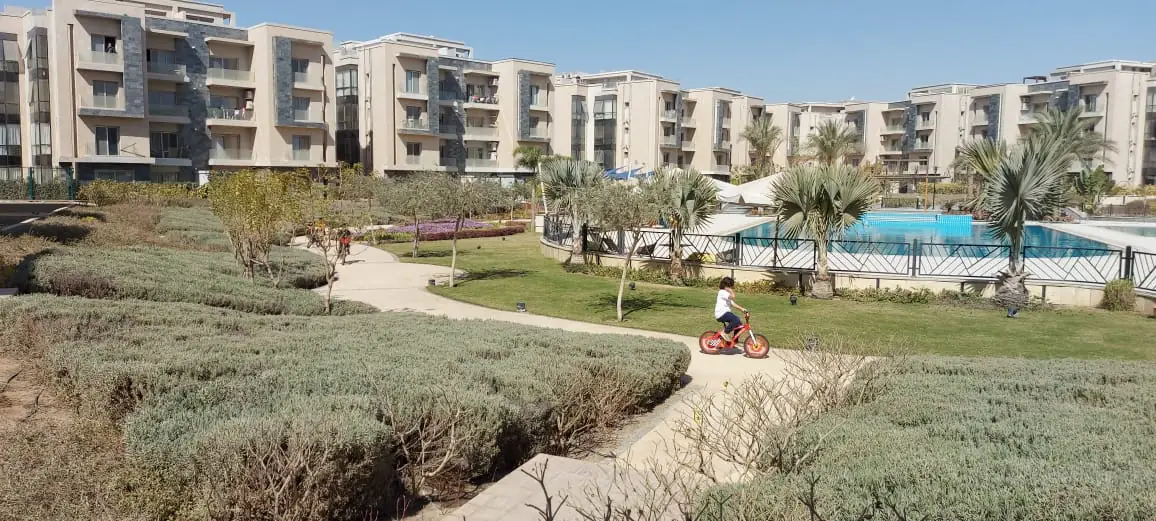 Apartment for rent in Galleria moon valley