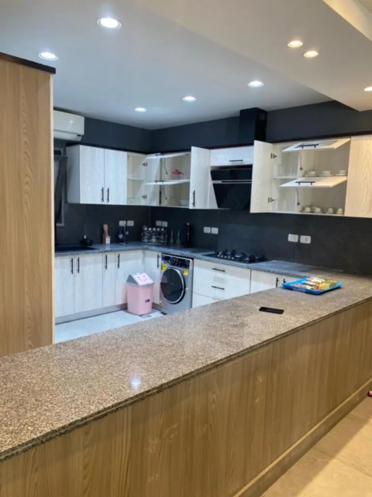 Furnished 2 Br Apartment For Rent in Lake View