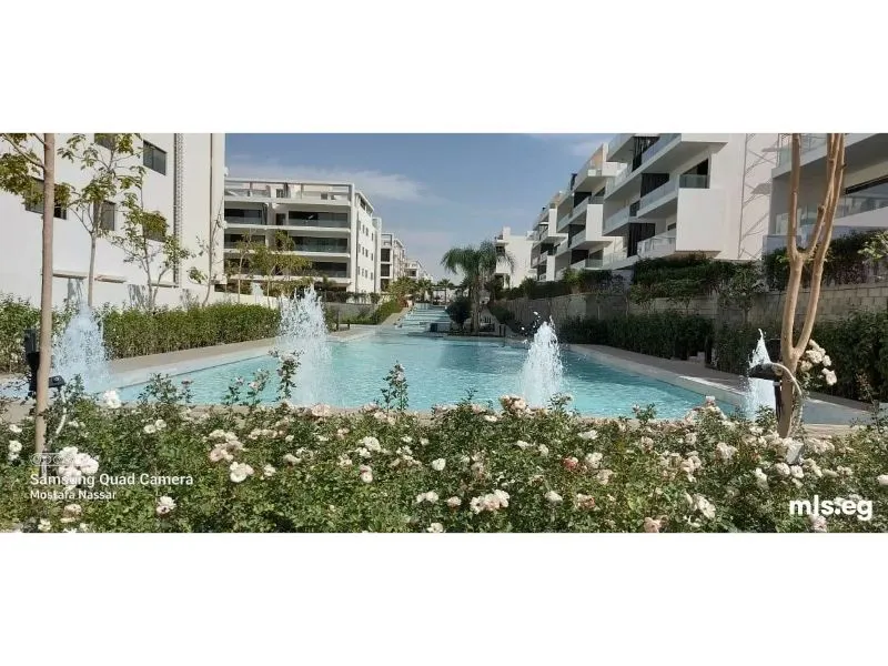 Modern Furnished Apartment For Rent in Lake View