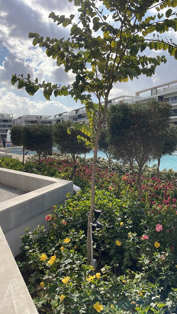 Penthouse 4BR For Sale in Lake View Residence