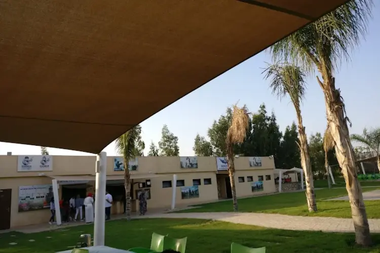 أدرينالين بارك 