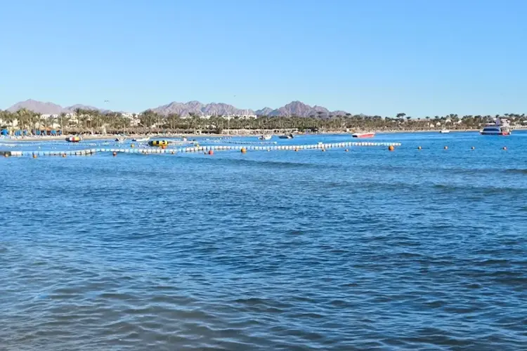 افضل شواطئ شرم الشيخ