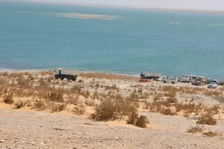 الخدمات والمرافق في مدينة توشكى الجديدة