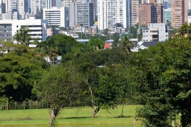 الفرق بين المعيشة في الريف والمدينة