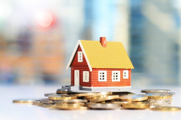 الكاش ولا التقسيط