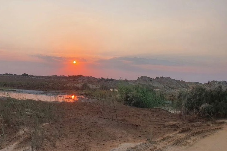 أسعار الأراضي وأنظمة الدفع في مدينة طربول الصناعية