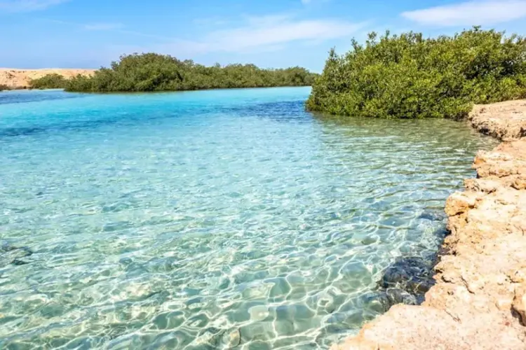 شاطئ رأس محمد