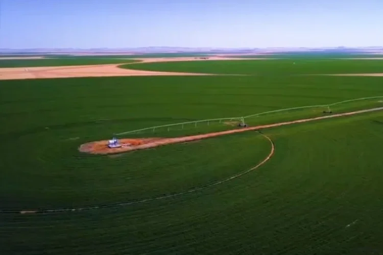 لماذا تعد توشكى الجديدة وجهة مثالية للمستثمرين