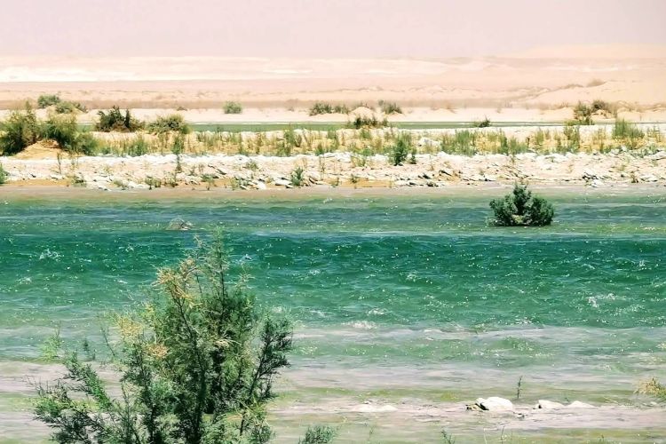 مدينة توشكى الجديدة: استثمار آمن وواعد