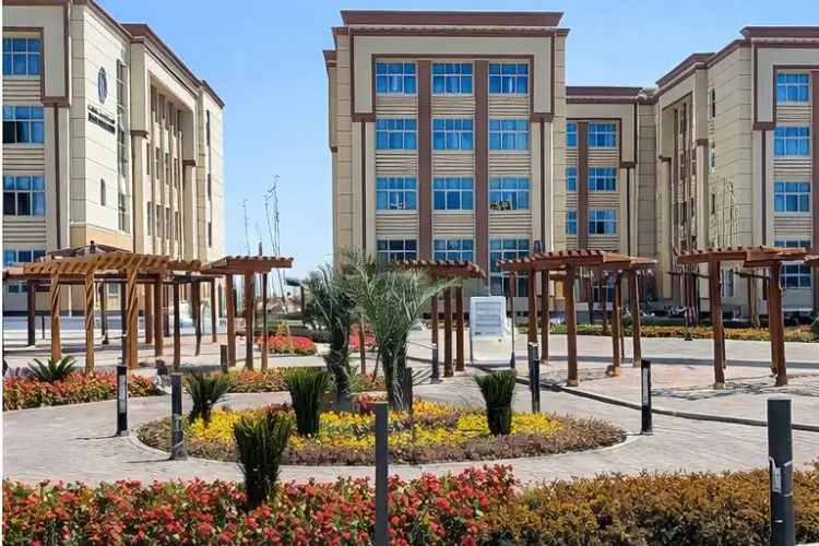 جامعة بنى سويف الأهلية