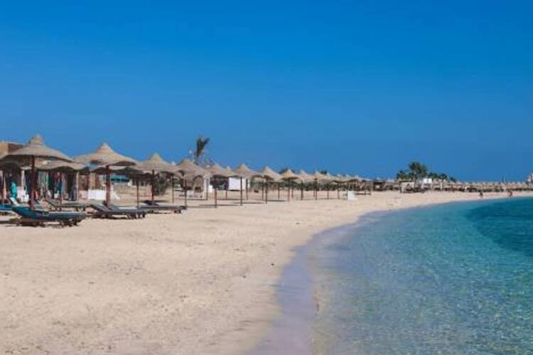 مميزات وعيوب مرسى علم