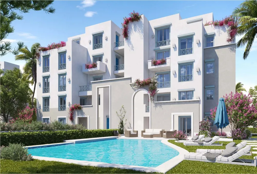 ماونتن فيو راس الحكمة