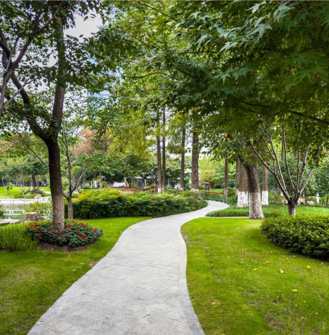 التجمع السادس 