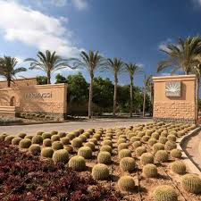 ماراسي فالنسيا