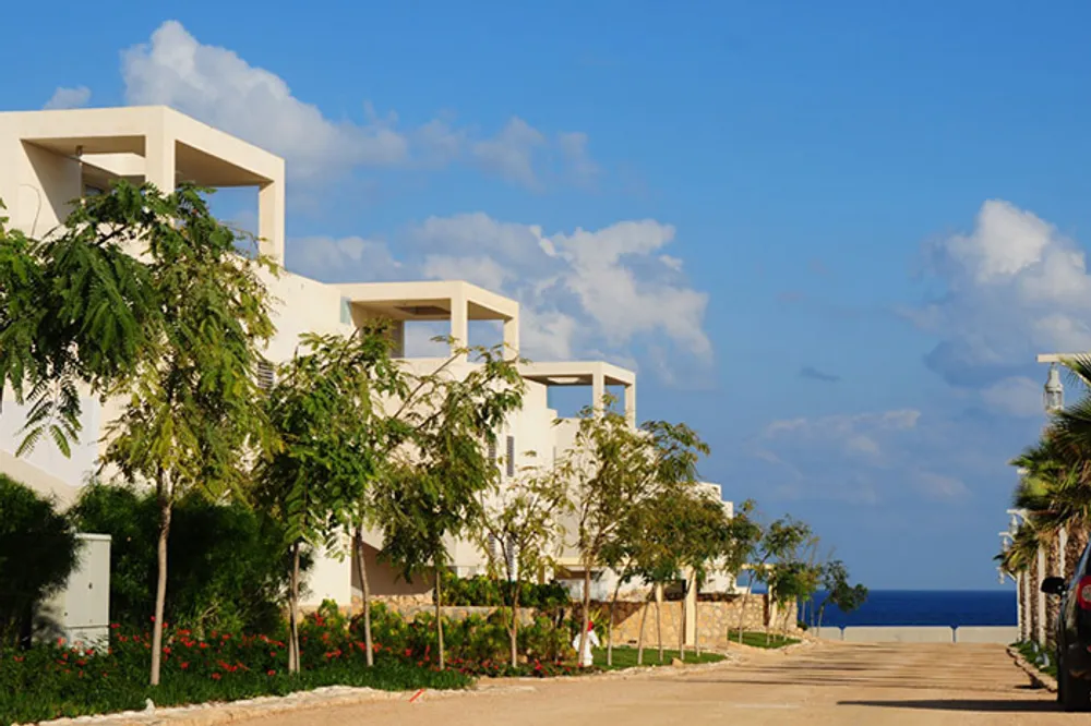 هاسيندا وايت