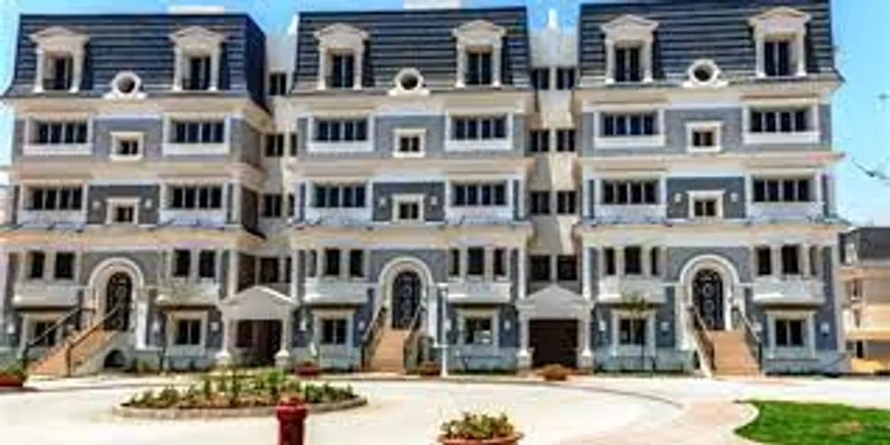 ماونتن فيو اكزيكتيف